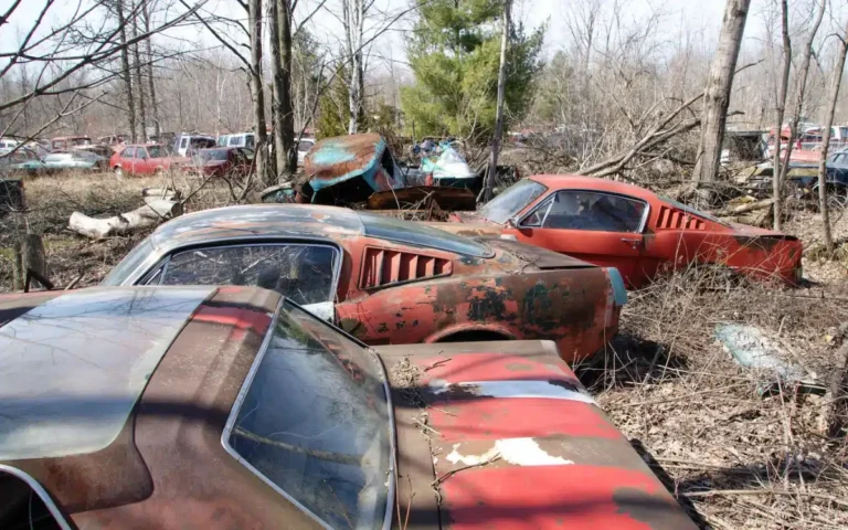 Junkyard in Detroit filled with Mustangs, GTOs and Corvettes