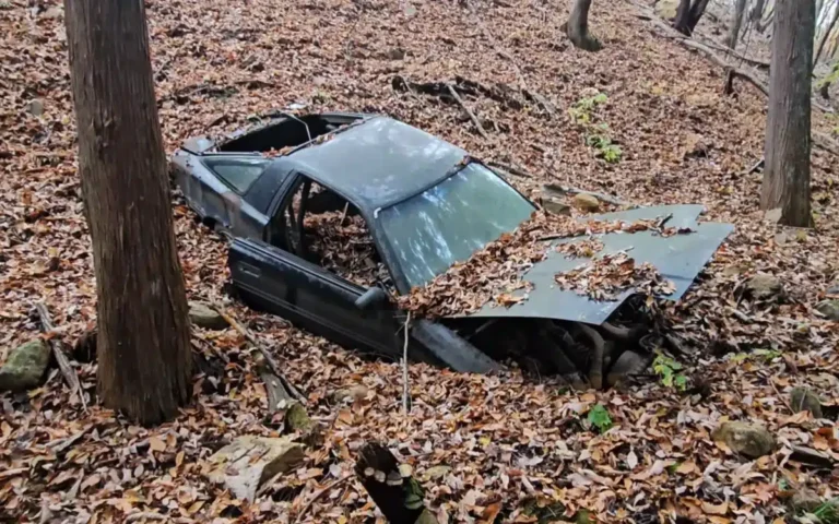 Crashed Toyota is now a tourist attraction in Japanese woods