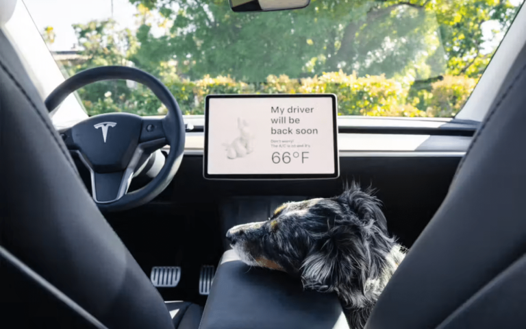 Pet owner shares unexpected perk of the Tesla Cybertruck