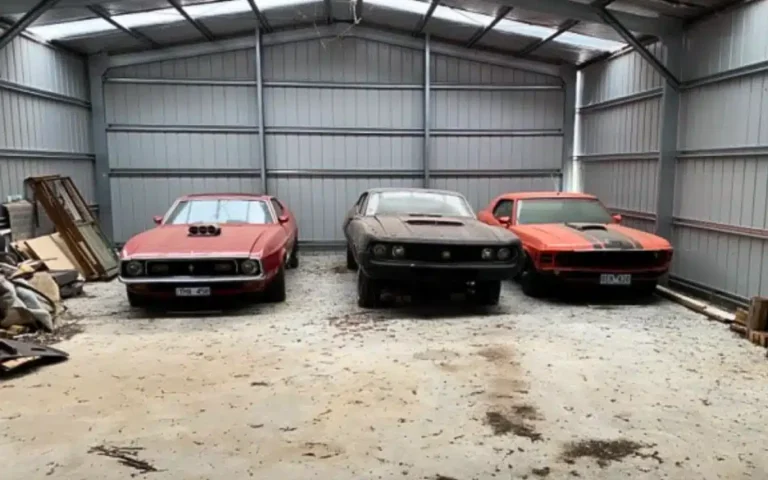 Australian woman’s $100k muscle car collection stolen