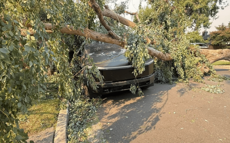 Tesla Cybertruck hit by huge tree but was able to drive away